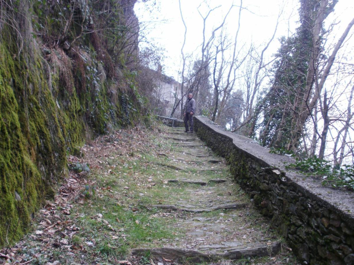 Bilocale Con Terrazzo Maggiore