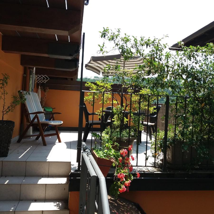 Apartment Bilocale Con Terrazzo Maggiore Cossogno
